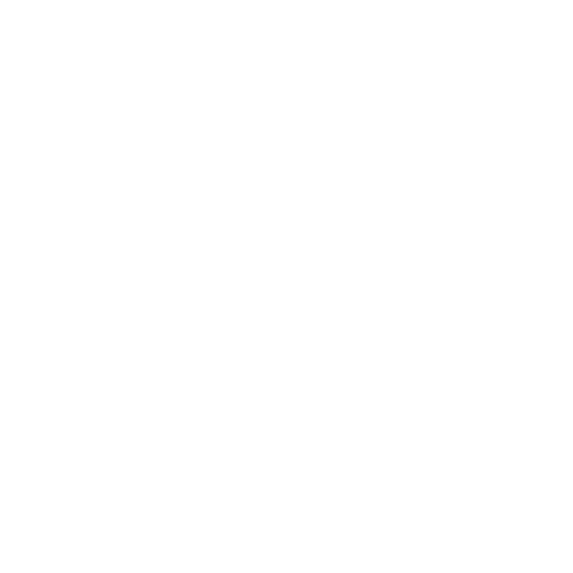 Revolution-PPS